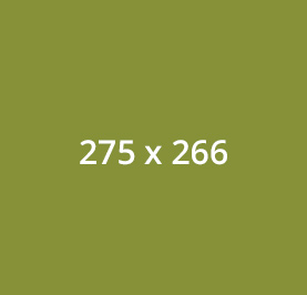 275 x 266 green block