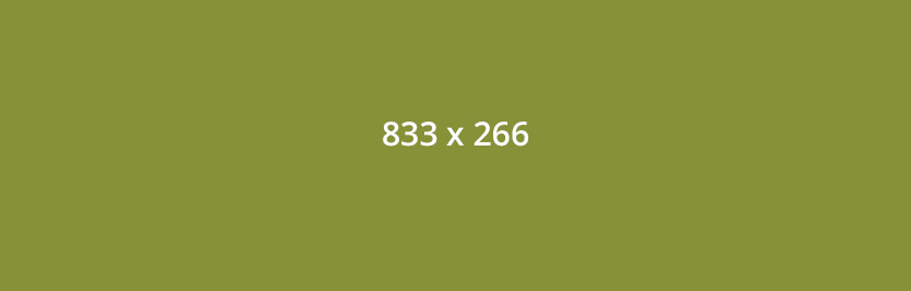 833 x 266 green rectangle