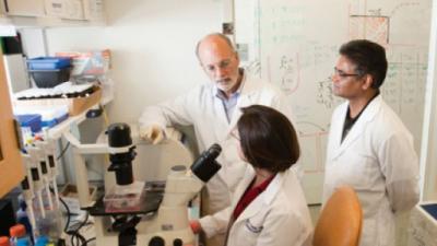 three researchers in a lab talking to each other in front of a microscope