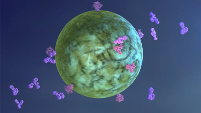 graphic rendering of a HIV virus