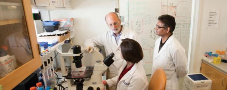 three researchers in a lab talking to each other in front of a microscope
