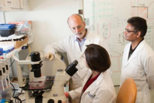 three researchers in a lab talking to each other in front of a microscope