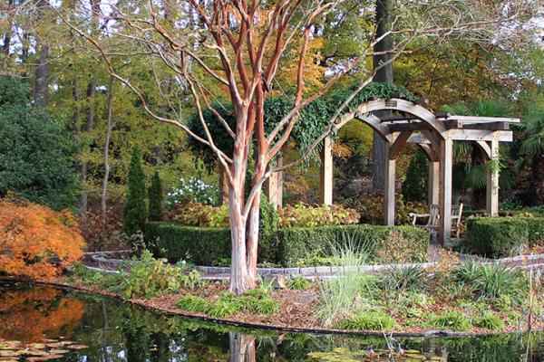 Duke Gardens pond and pergola