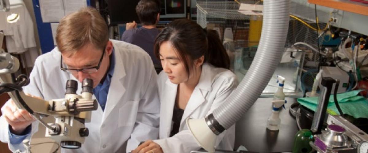 two researchers in a lab, one looking into a microscope