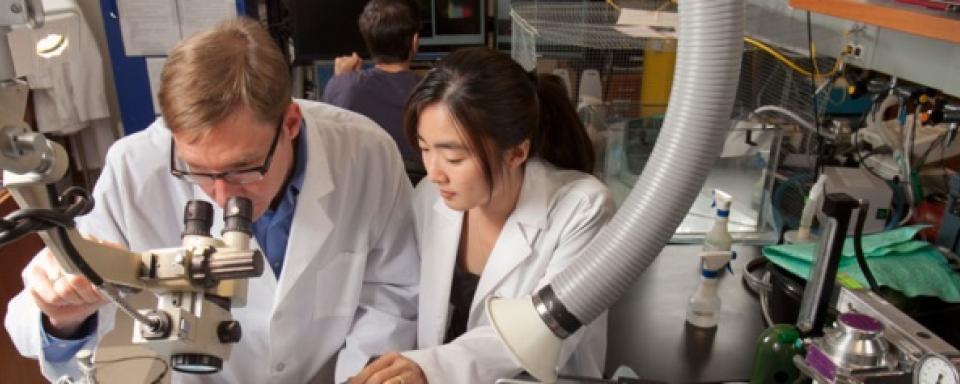 two researchers in a lab, one looking into a microscope