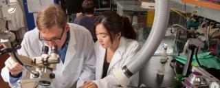 two researchers in a lab, one looking into a microscope